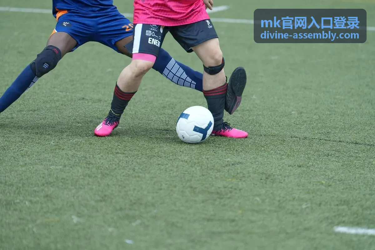 mk官网入口登录失败提示对照处理